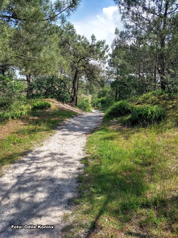 Вилла Klein Heemshof - Noord Holland Aan Uw Voeten Варменхёйзен Экстерьер фото